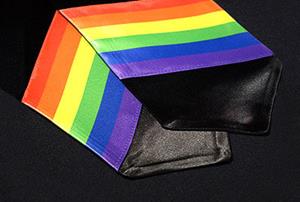 Pride Stole