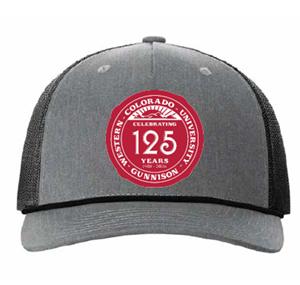 Wcu 125 Rope Seal Cap